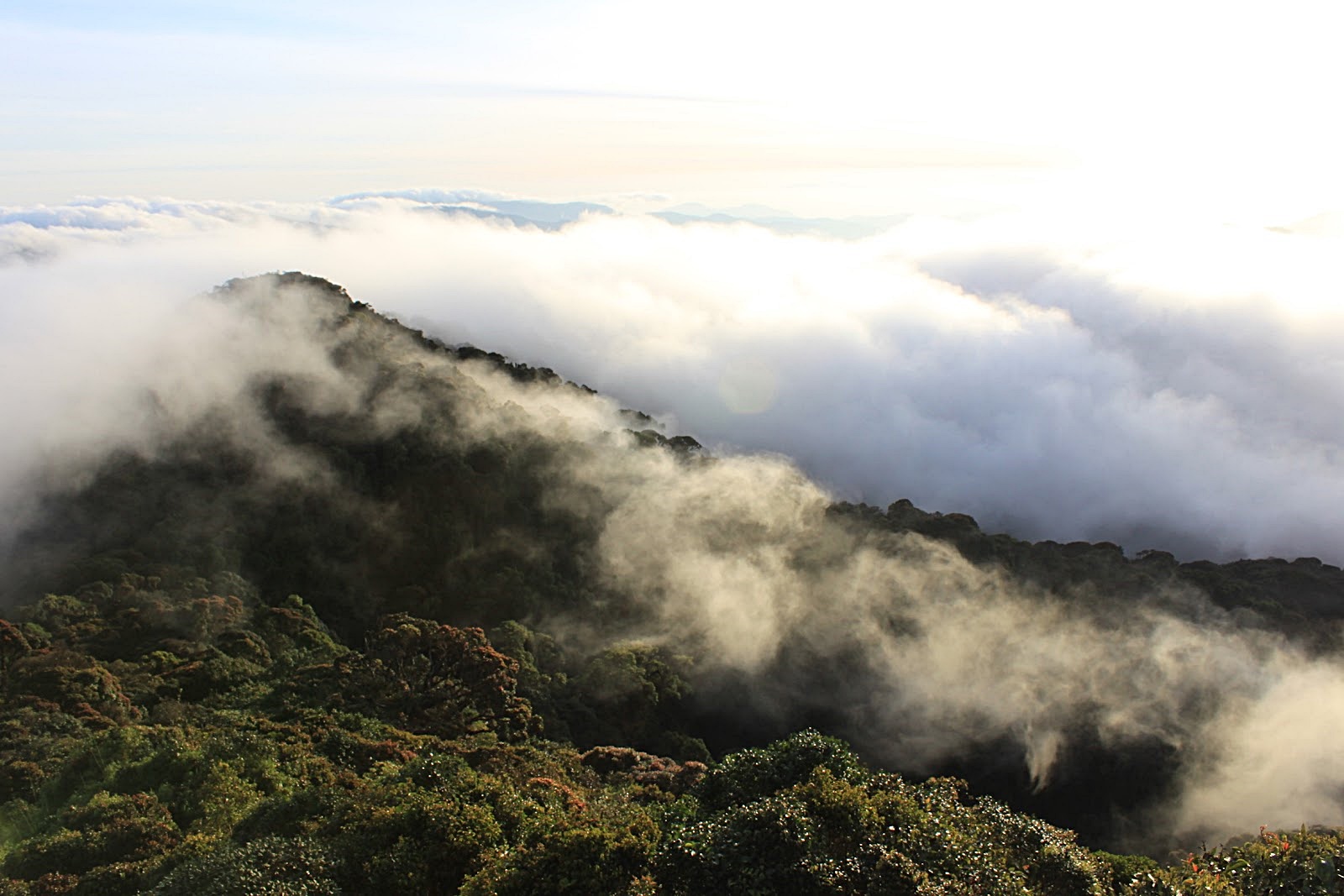 Brinchang Mountain