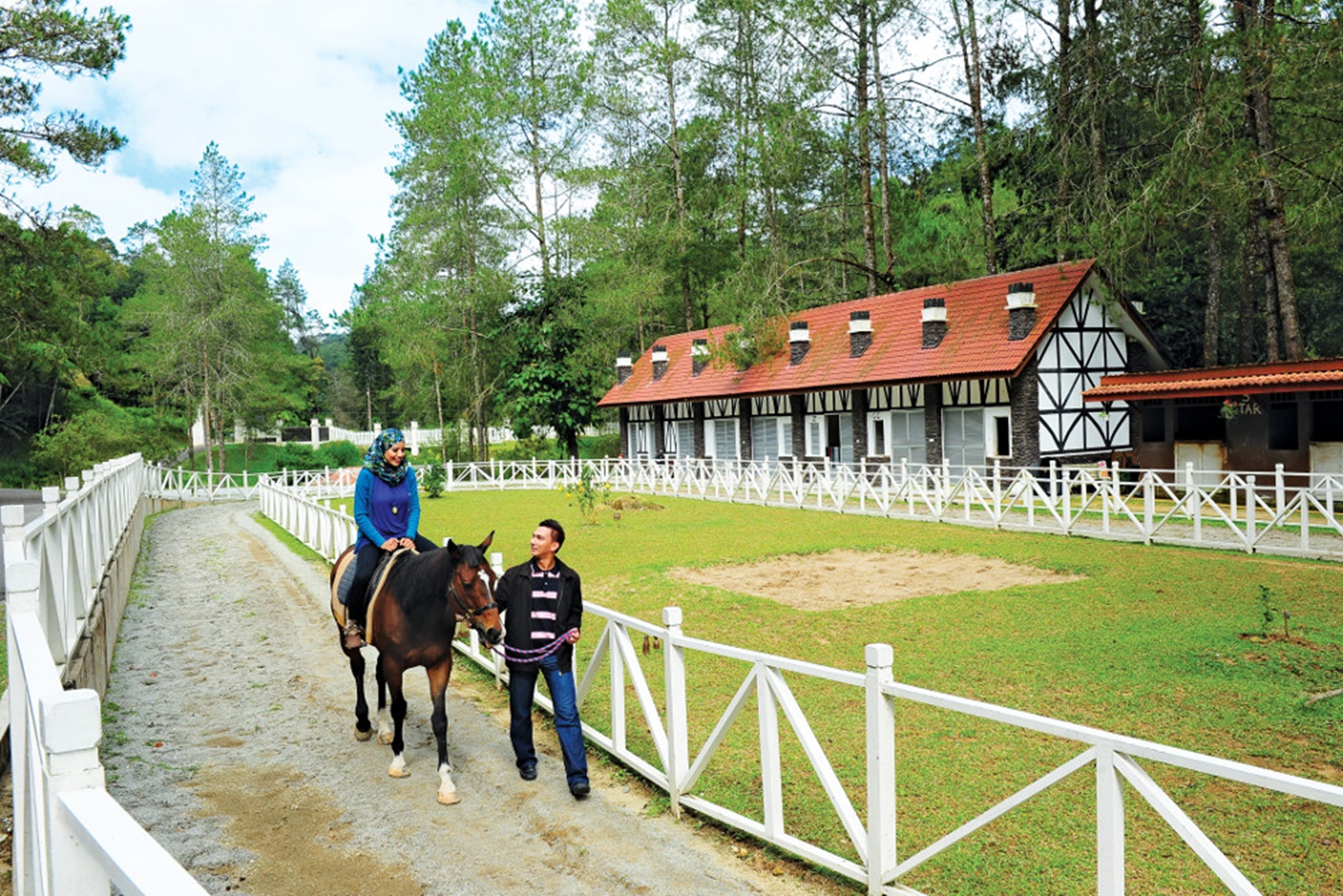 Horse Riding at The Paddock