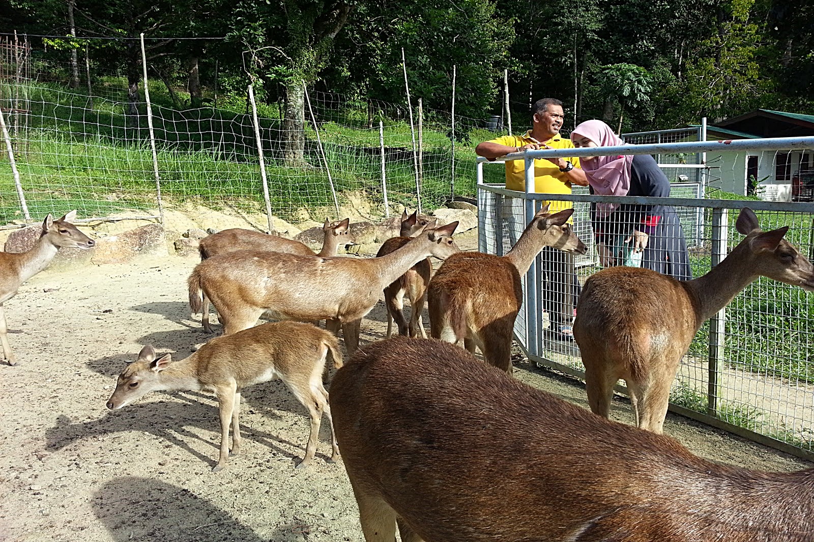 Kuantan Mini Zoo