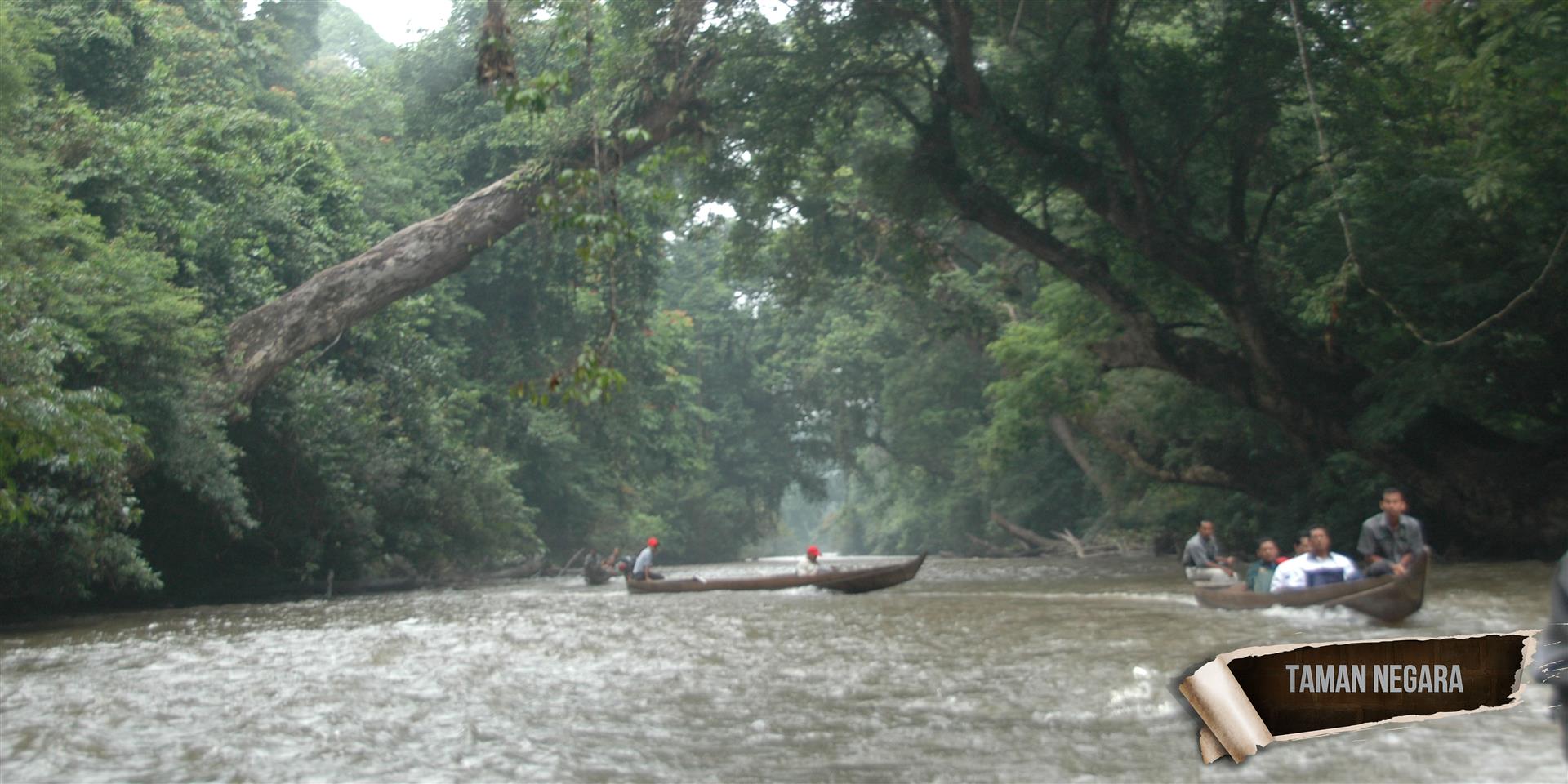 TAMAN NEGARA